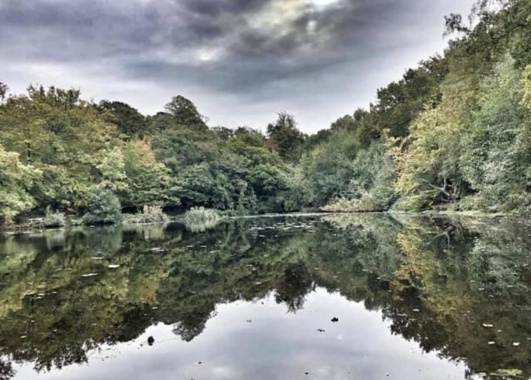 Keston Ponds