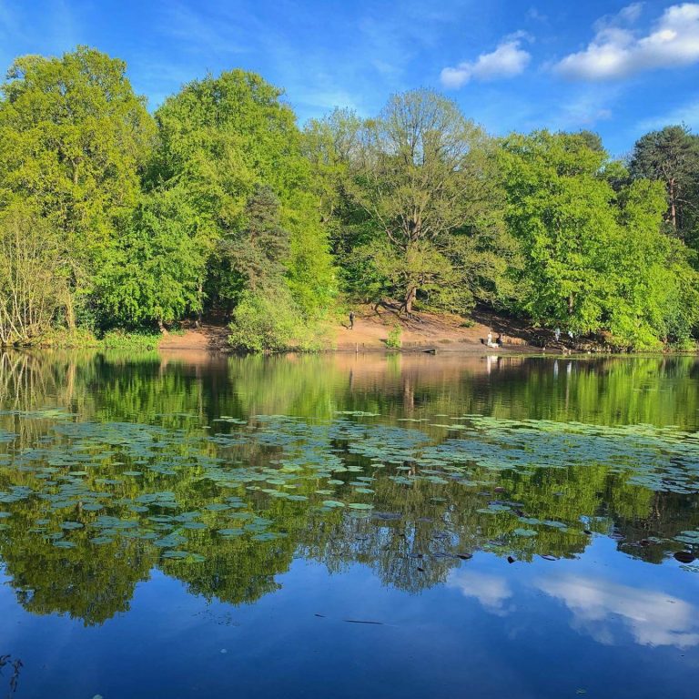 Keston Ponds