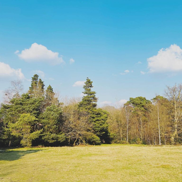 Keston Ponds