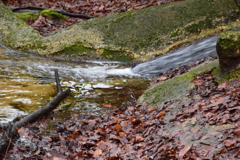 Keston Ponds