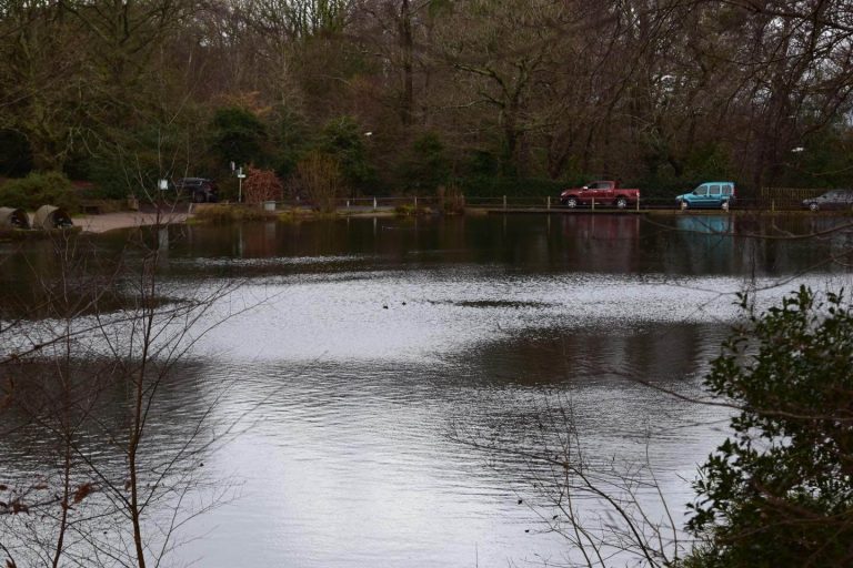 Keston Ponds