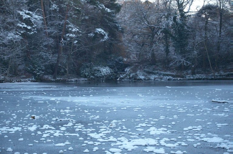 Keston Ponds