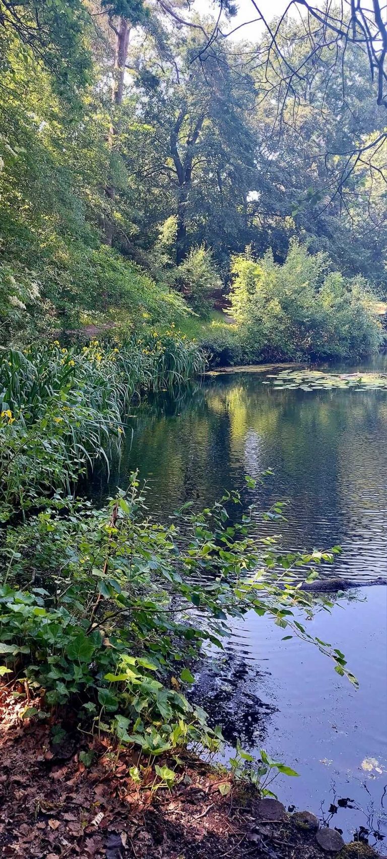 Keston Ponds