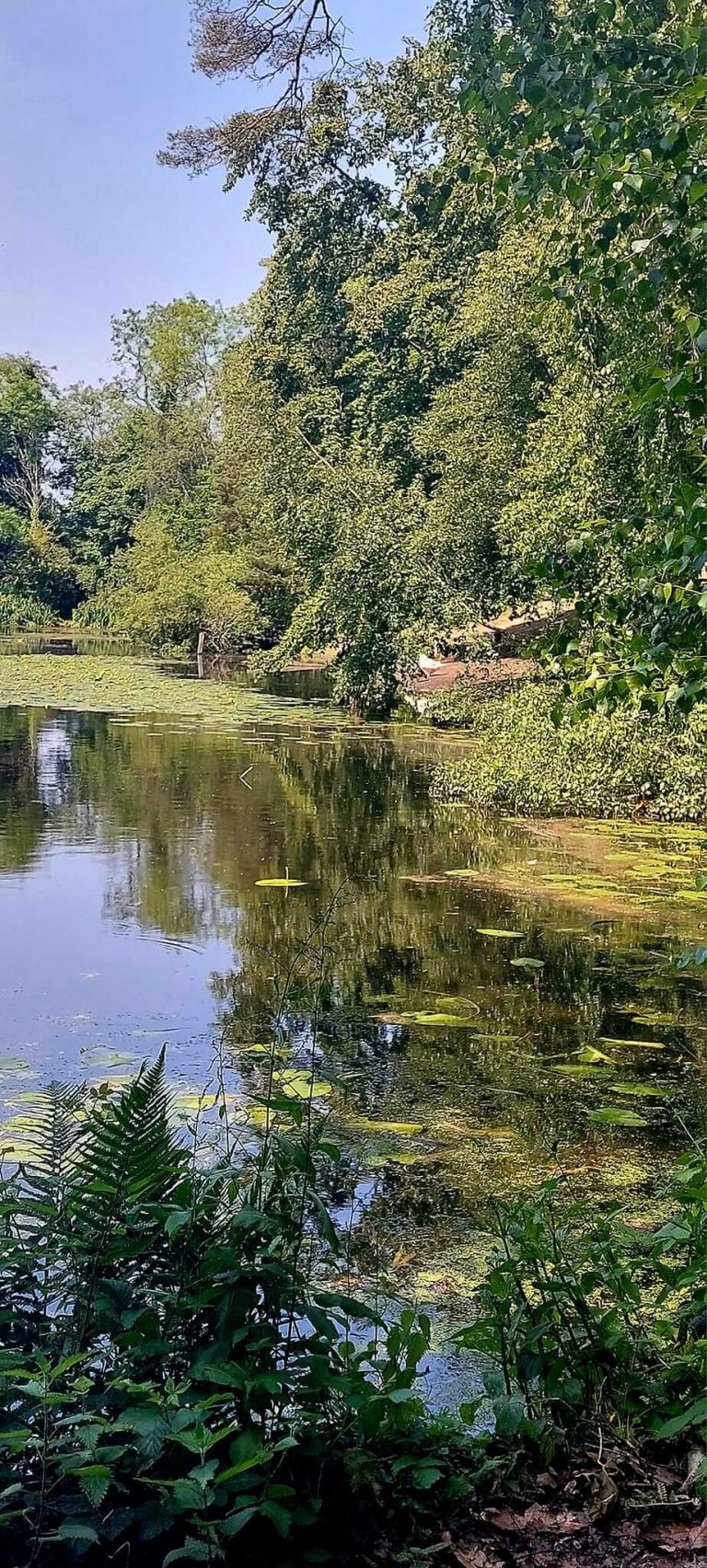 Keston Ponds