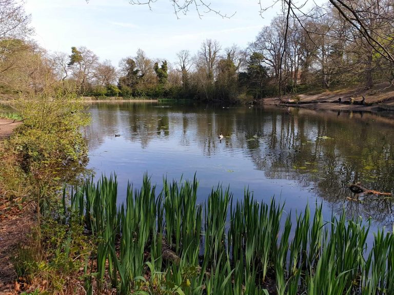 Keston Ponds