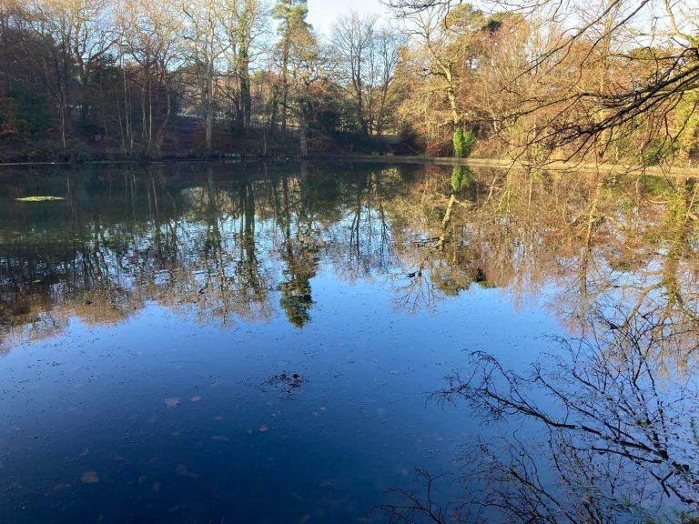 Keston Ponds
