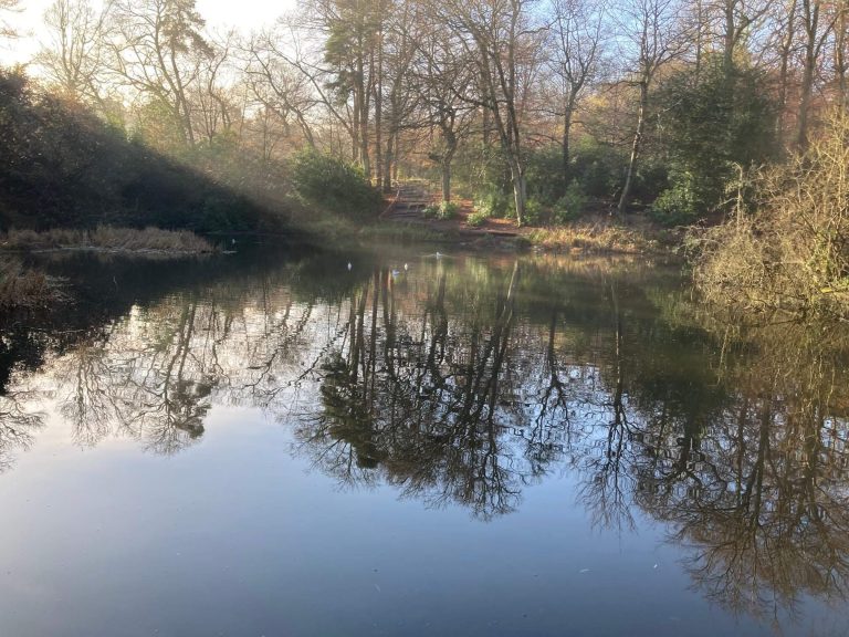 Keston Ponds
